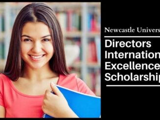 Directors International Excellence Scholarships at Newcastle University