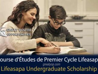 Lifeasapa International Undergraduate Scholarship