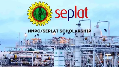 NDPC/Seplat Undergraduate Scholarship